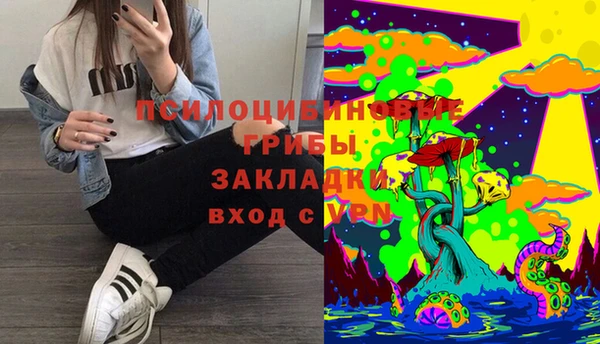 прущая мука Медногорск