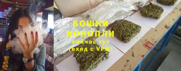 ГАЛЛЮЦИНОГЕННЫЕ ГРИБЫ Медвежьегорск