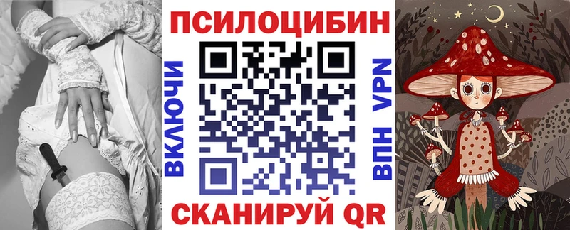 кракен ONION  Тихвин  Галлюциногенные грибы Psilocybine cubensis 