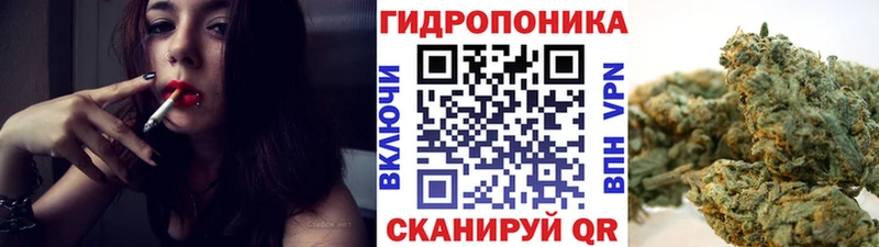 Бошки марихуана Amnesia Тихвин